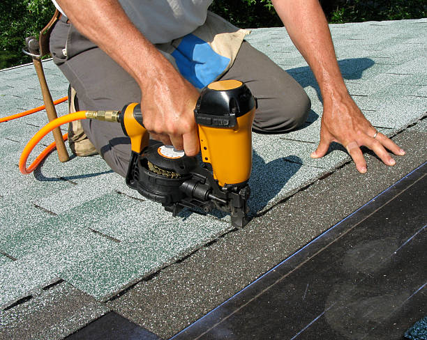 Best Roof Gutter Cleaning  in Rock Falls, IL