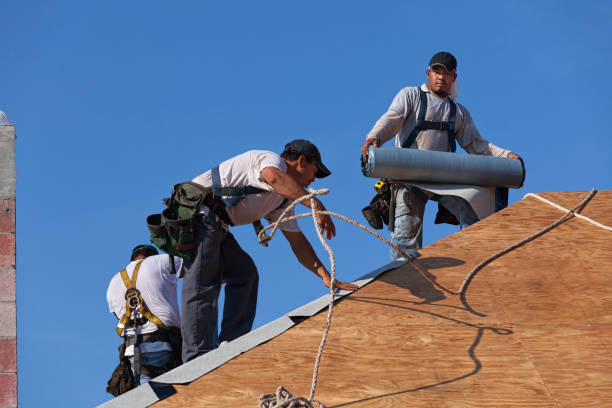 Best Residential Roofing Contractor  in Rock Falls, IL