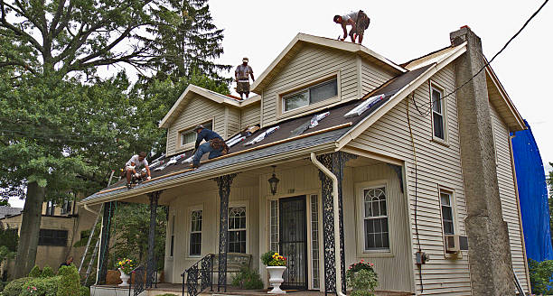 Best Roof Maintenance Services  in Rock Falls, IL